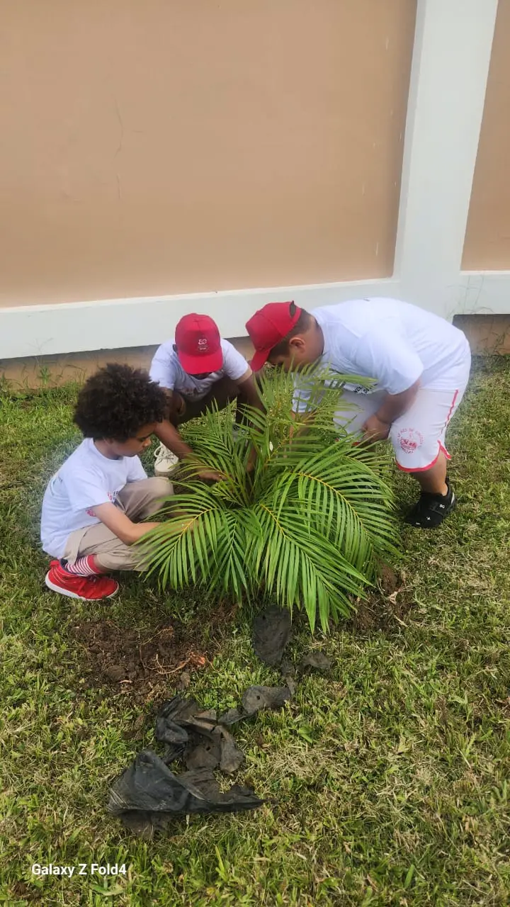 Imagem WhatsApp 2025-12-01 às 11.12.27_4418b7e3