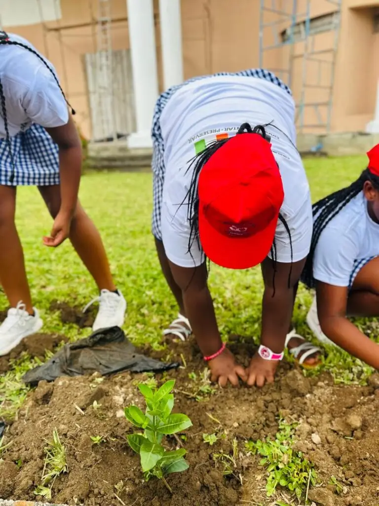 Imagem WhatsApp 2025-12-01 às 11.12.27_4747295b